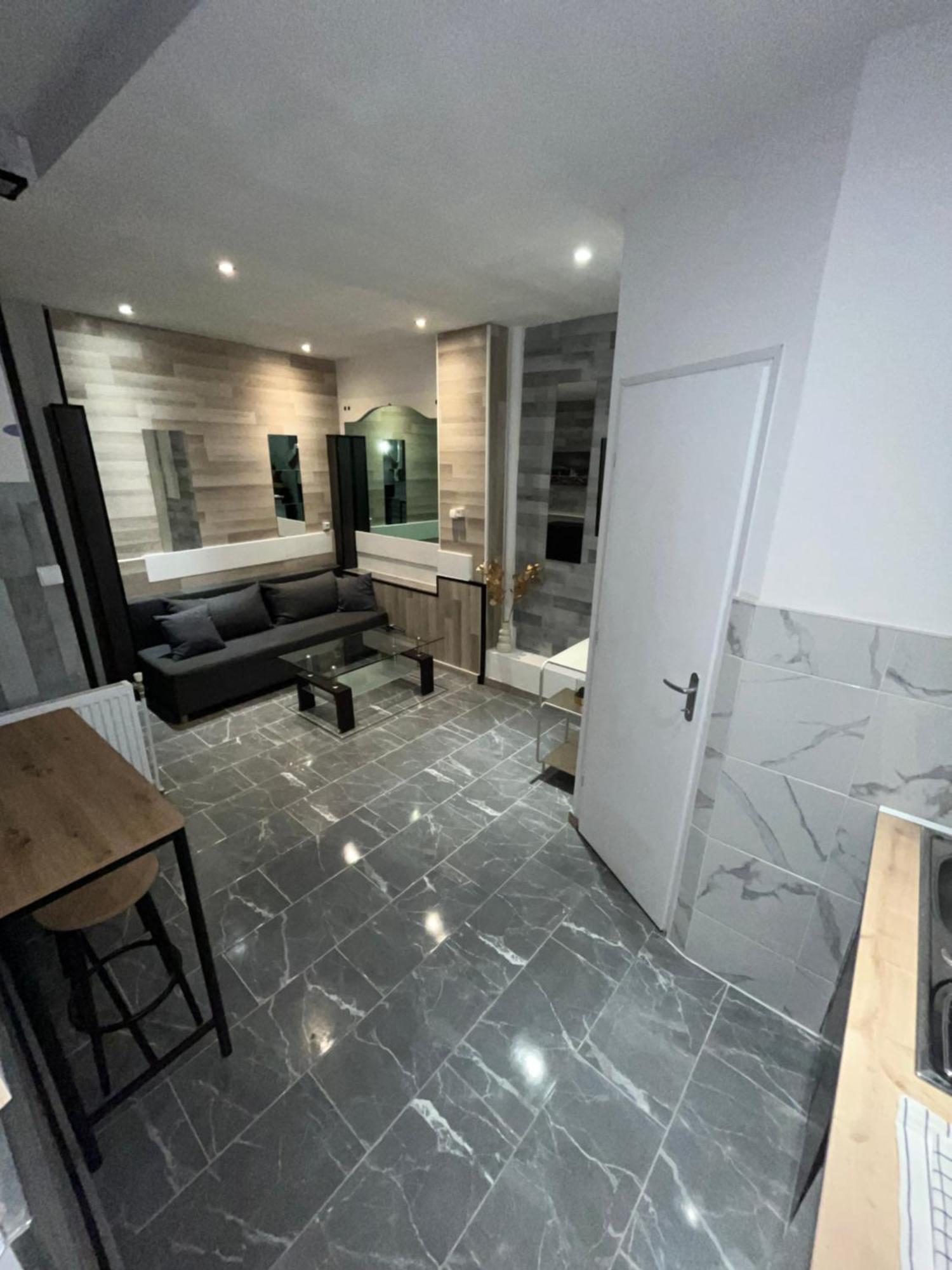 Appartement Moderne Centre Ville De Dijon Ngoại thất bức ảnh