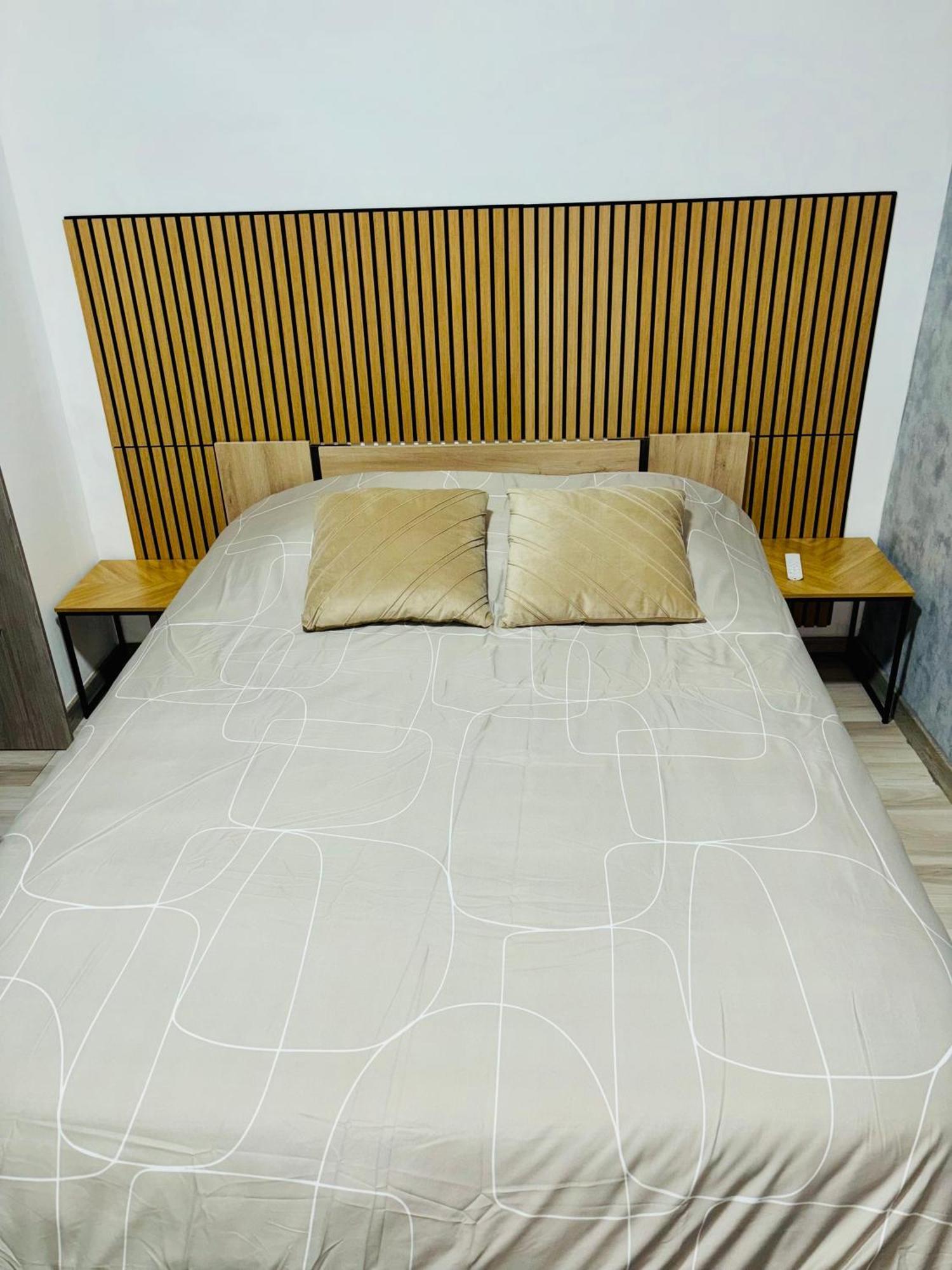 Appartement Moderne Centre Ville De Dijon Ngoại thất bức ảnh