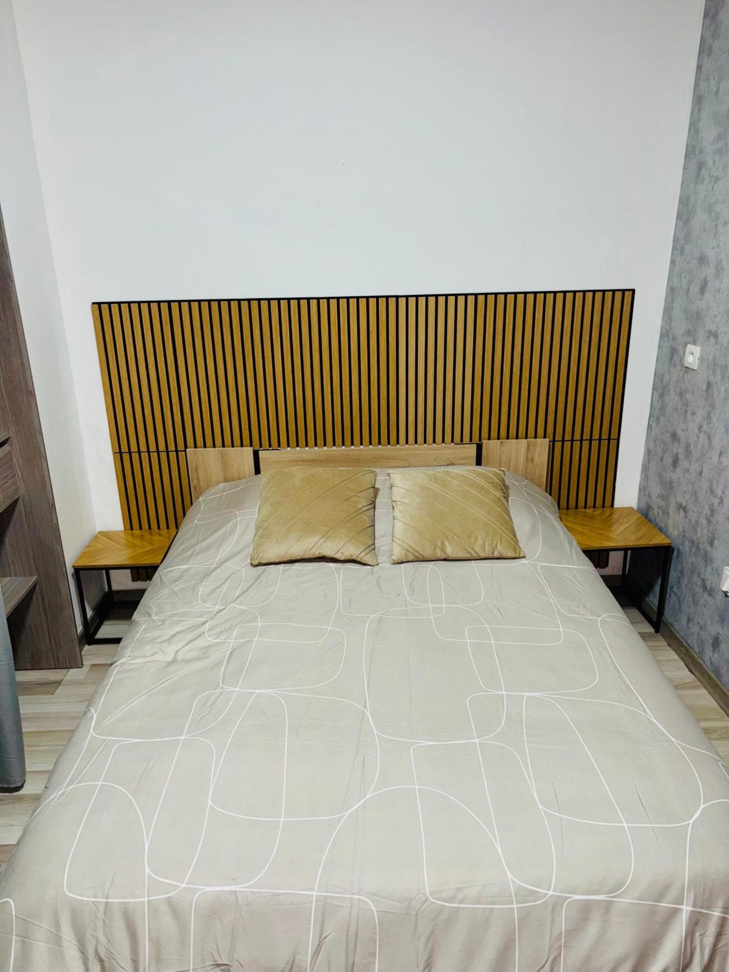 Appartement Moderne Centre Ville De Dijon Ngoại thất bức ảnh